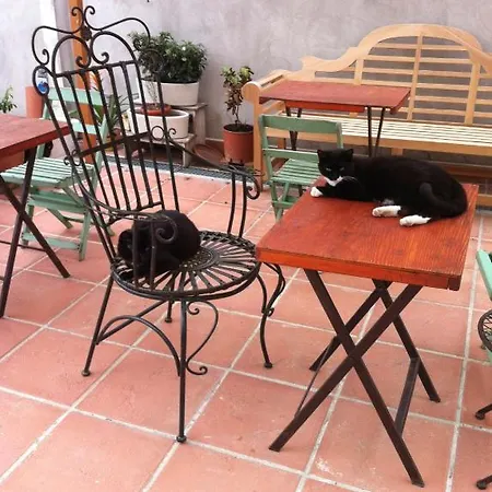 Bed & Breakfast Ai Frutti Di Volta Room&breakfast Ferrara